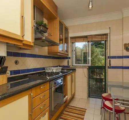 Apartment Terrace
