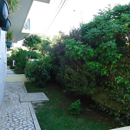 Terrace *